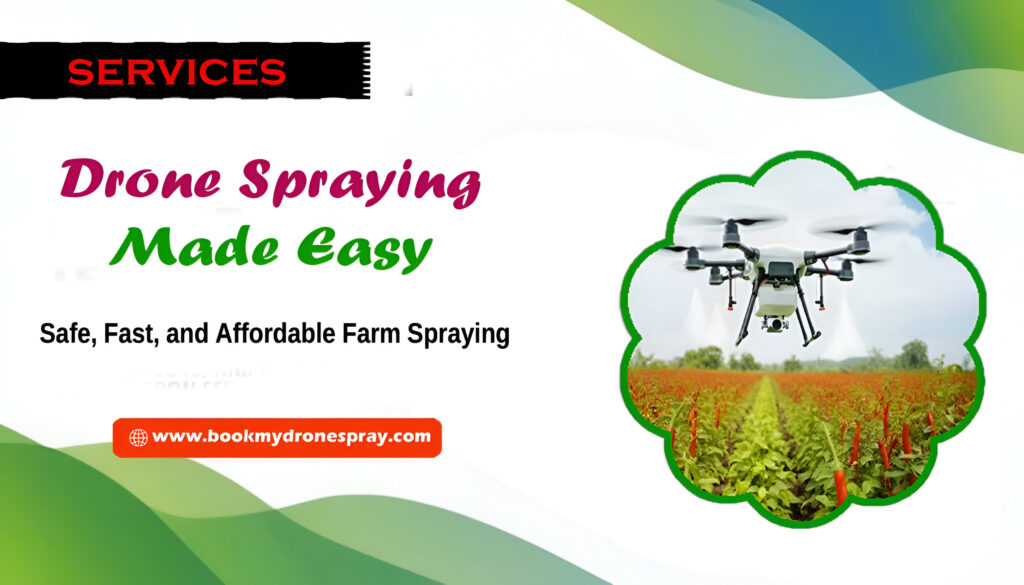 Services services copy